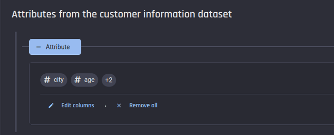 Attributes from the customer information dataset