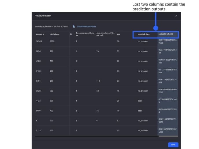 Prediction output preview