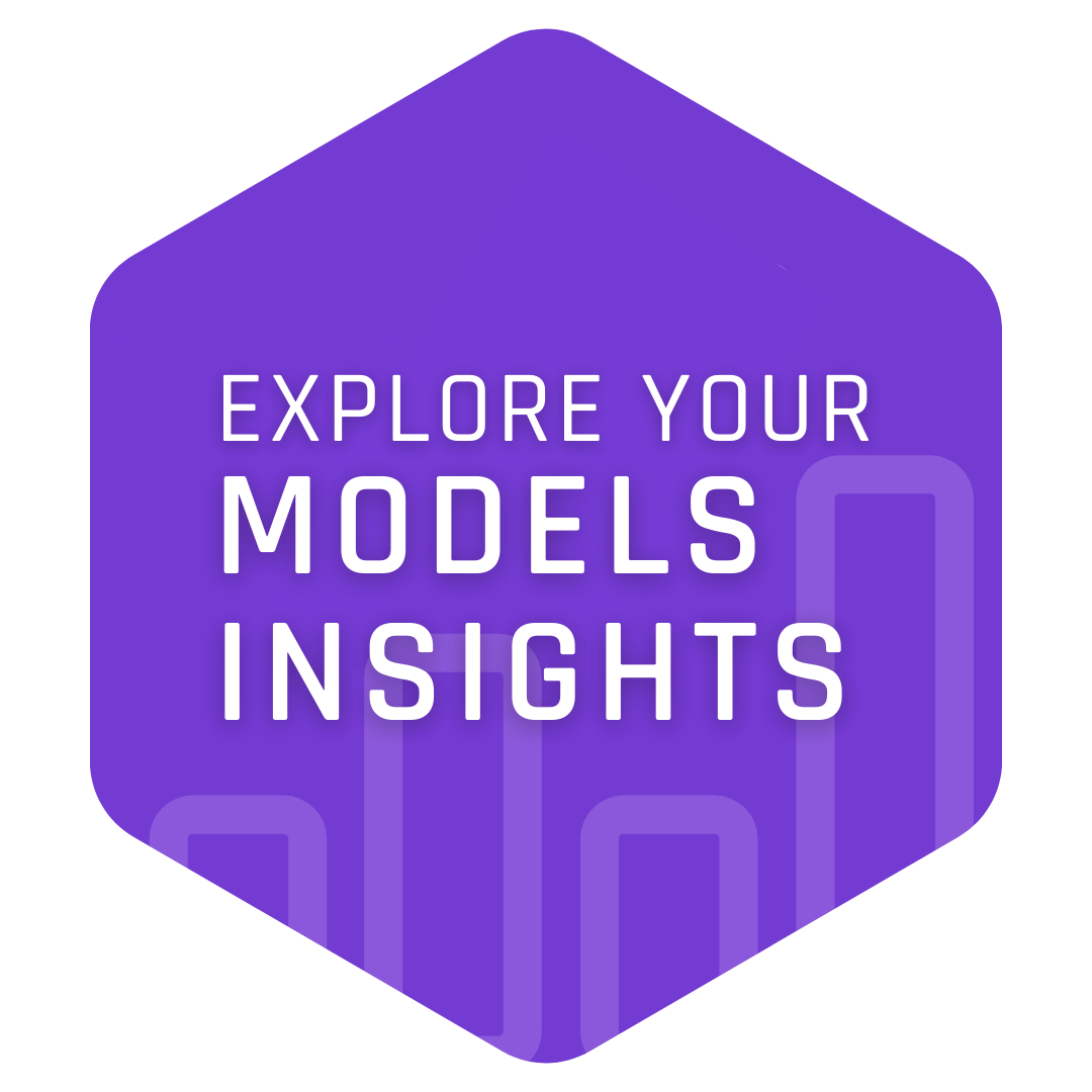 Explore your models insights