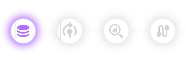 Icon flow Data prep