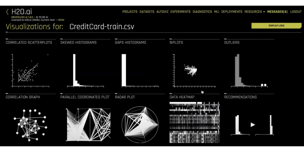 Driverless AI data visualization