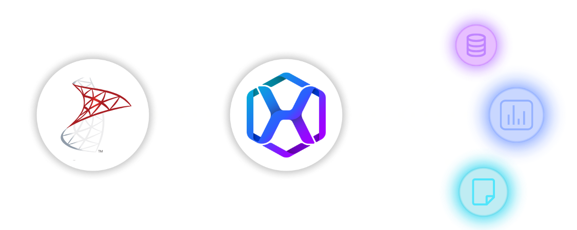 Microsoft SQL Server Integration Graphic